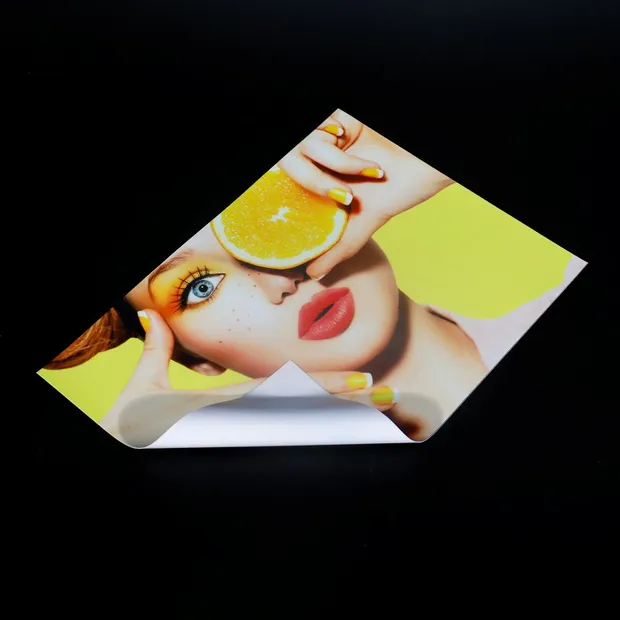 Signapex Mesh Fabric Sublimation Textile 115GSM Max 3.2m 