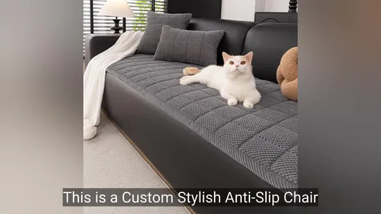 Comfortable Stylish Sofa Cushion for Modern Living Room Elegance 